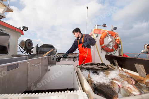 Preview: Fisherman pulling up fishing line on fishing boat