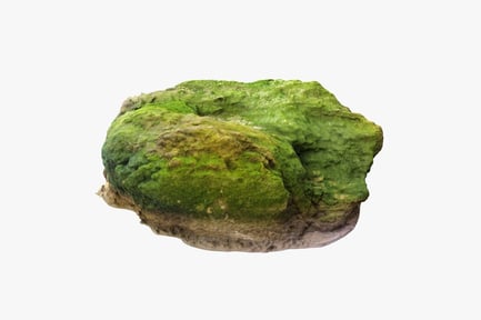 Предпросмотр: Мшистый известняковый валун