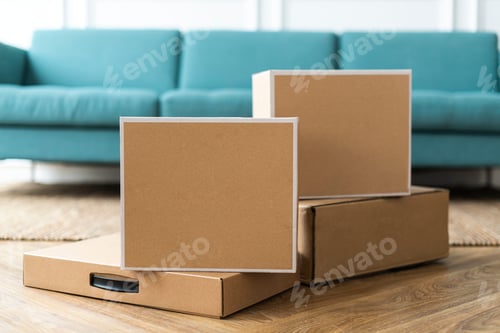Preview: Brown boxes on a Scandinavian living room floor