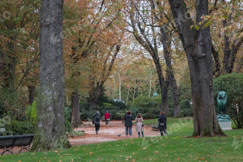 Preview: People walking in a park in the fall on a cold day.