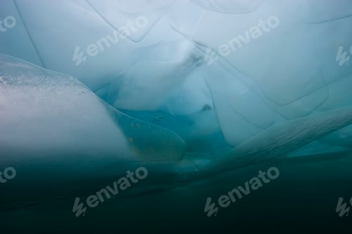 Preview: Diving underwater in winter