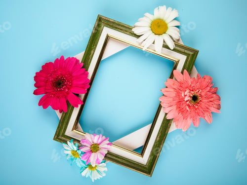 Preview: top view of empty picture frames with colorful gerbera flowers with daisy on blue background
