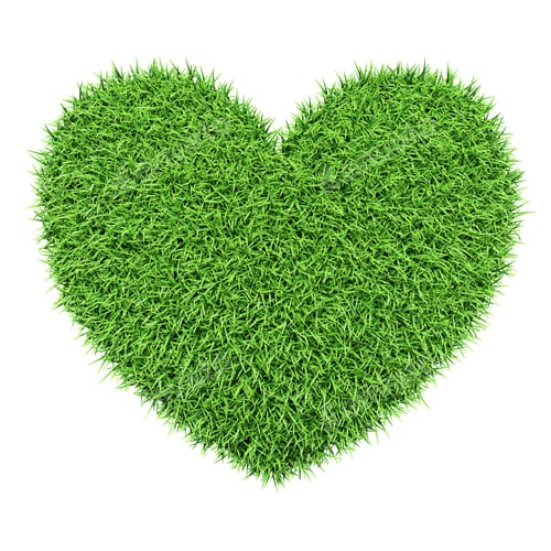 Preview: Green heart made of grass isolated on white