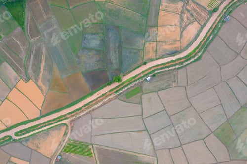 Preview: Fresh paddy rice, green agricultural field in countryside or rural area in Asia. Nature landscape.