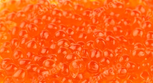 Preview: Background of red salmon caviar close up