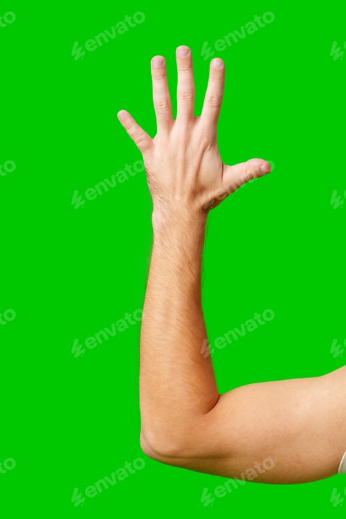 Preview: Hand Raised in a Gesture of Greeting Against a Bright Green Background