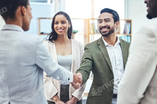 Preview: Handshake, business people and b2b consulting success with office management group. Happiness, succ