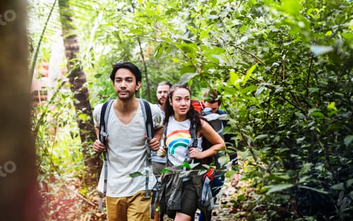 Preview: Trekking in a forest
