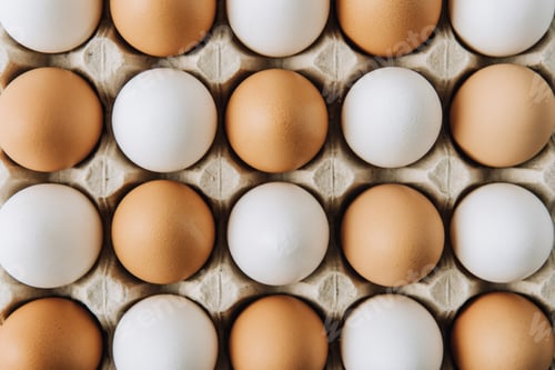 Preview: white and brown eggs laying in egg carton, full frame shot