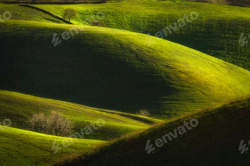 Preview: Rolling hills and trees in winter, landscape view between Volterra and Peccioli. Tuscany, Italy