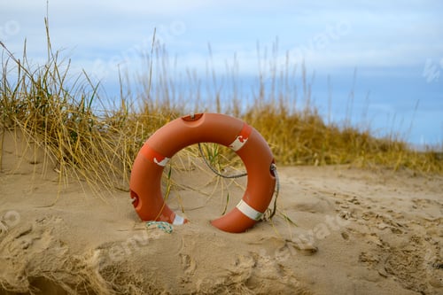 Preview: Lifesaver ring on a sandy beach amidst tall dune grass under a cloudy sky.