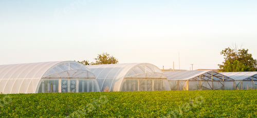 Preview: Greenhouses in the field for seedlings of crops, fruits and vegetables.