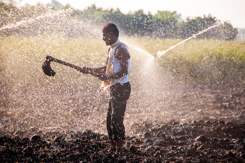 Preview: Young Indian Farmer working In the field in front of sprinklers at sunset