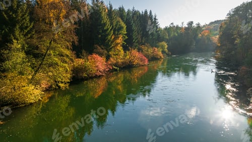 Preview: Autumn colorful forest by river Brda at sunrise in Poland.