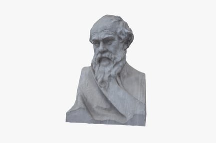 Preview: Socrates Bust - Ancient Greek Philosopher