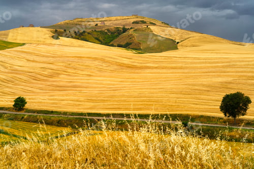 Preview: Country landscape in Basilicata, Italy, at summer