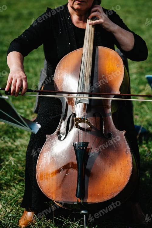 Preview: Cellist player hands. Violoncellist playing cello on background of field. Musical art, concept