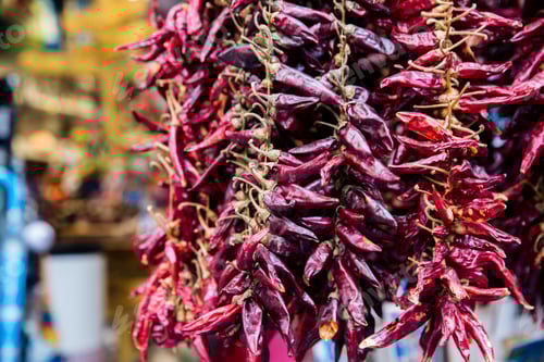 Preview: Garlands of red dried paprika pods in Budapest spice shop, Hungary with blur background
