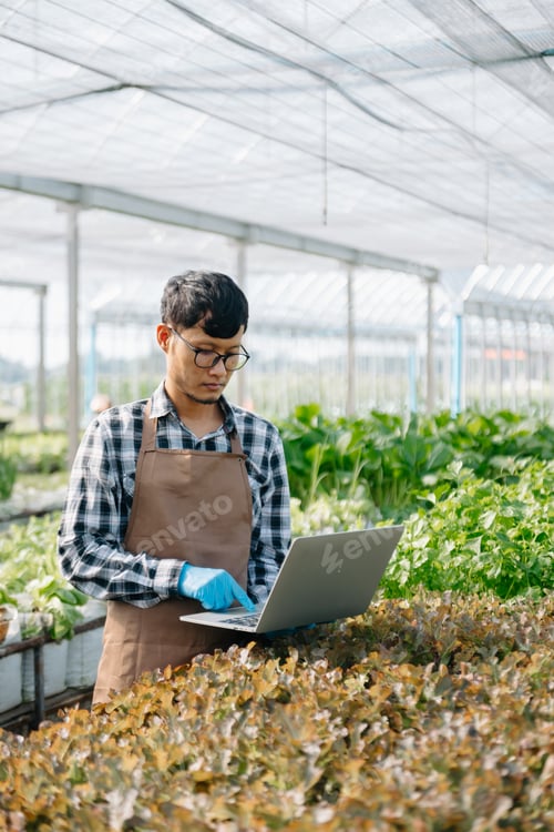 Preview: Asian farmer using hand holding tablet and organic vegetables hydroponic in greenhouse plantation.