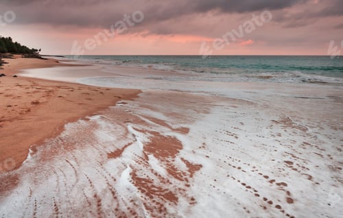 Preview: Tropical beach