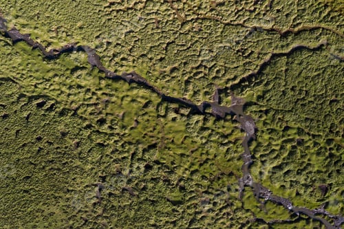 Preview: lake of grassland