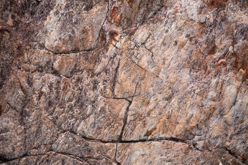 Preview: The Petrified Wood Texture Background