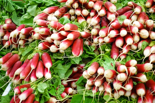 Preview: Organic radishes at a local farmers market