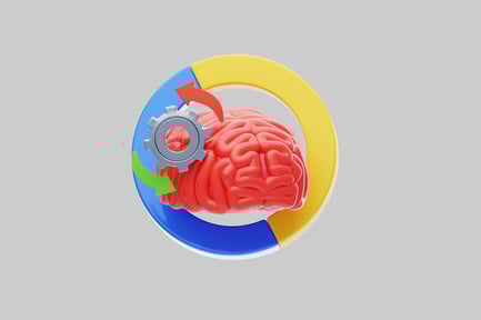 Preview: Brain function cycle