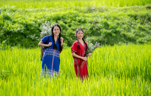 Preview: young girl dressed in traditional clothing, carrying a basket filled with flowers on her back. She i