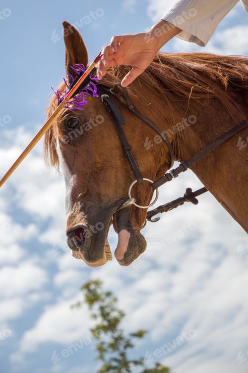 Preview: Low angle shot of a person riding a brown horse with a bit, bridle and rein outdoors
