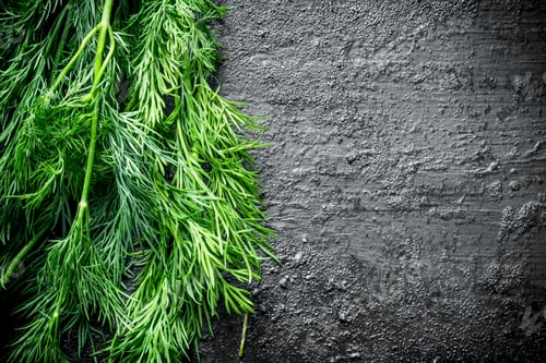 Preview: Freshly cut dill.