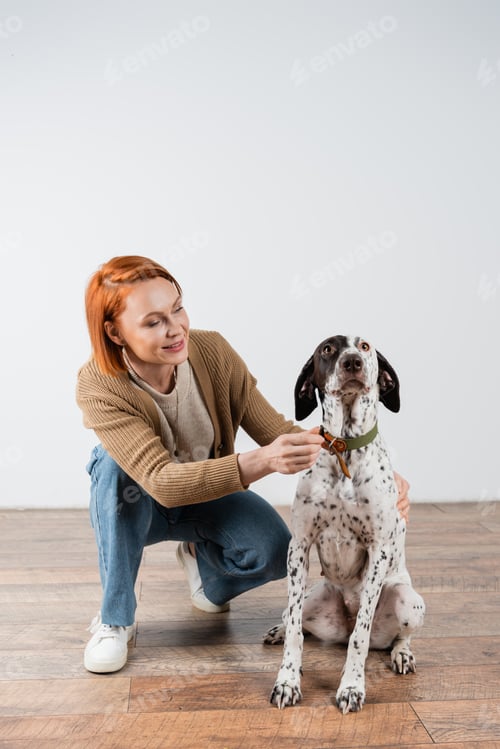 Preview: Positive redhead woman wearing collar on dalmatian dog