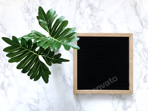 Preview: Clean minimal style