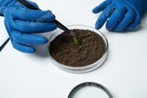 Preview: laboratory research plants microbiology science