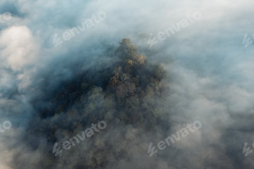 Preview: Morning fog in the forest before spring