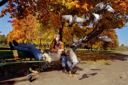Preview: a couple in the park on a bench autumn feeding pigeons