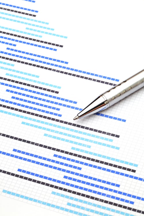 Preview: Gantt chart for financial project