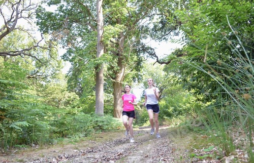Preview: Two young women runners running through forest track