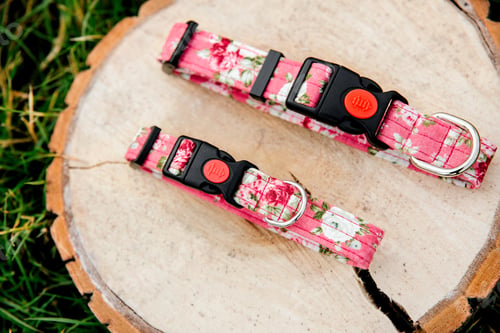 Preview: Dog Collar and Leash set. Pet Supplies and Walking Gear Collection