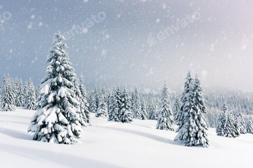 Preview: Fantastic winter landscape