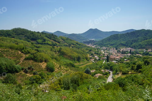 Preview: Summer landscape on the Colli Euganei, Padua, Italy