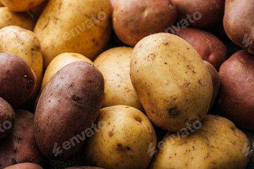Preview: organic raw potatoes on white background