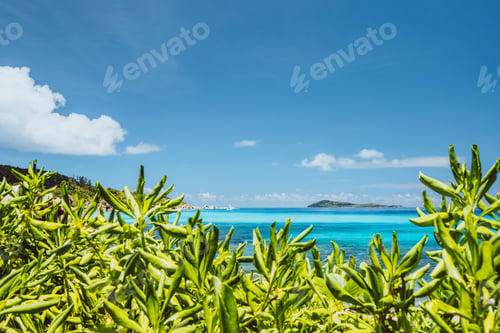 Preview: Tropical coast at La Digue island, Seychelles. Lush green vegetation, turquoise blue ocean and