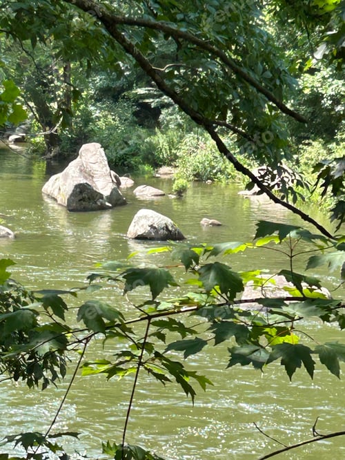 Preview: Rocks in reservoir in the park