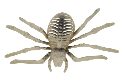 Preview: Creepy Spider Skeleton Decoration on White Background