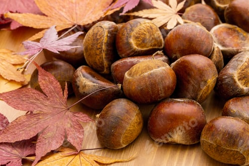 Preview: Chestnut and autumn maple