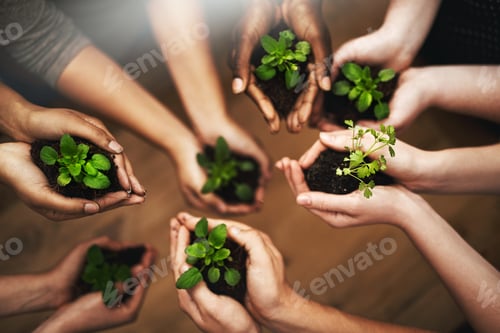 Preview: Cropped shot of a group of people holding plants growing out of soil