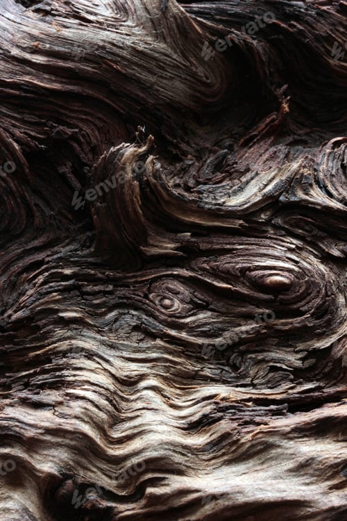Preview: Bark Tree wood texture