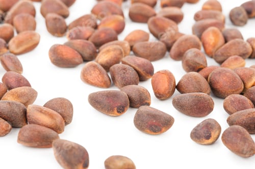 Preview: Cedar pine nuts