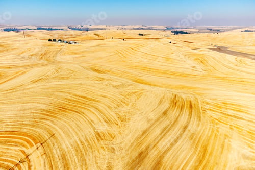 Preview: Aerial view of a harvested wheat field with a rolling hill surface